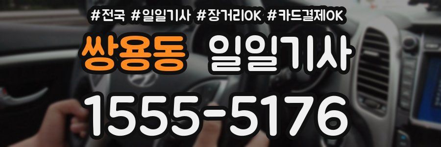 쌍용동 일일기사