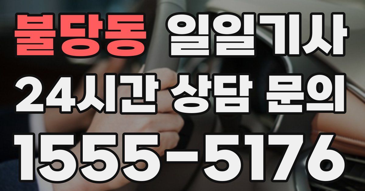 일일대리기사