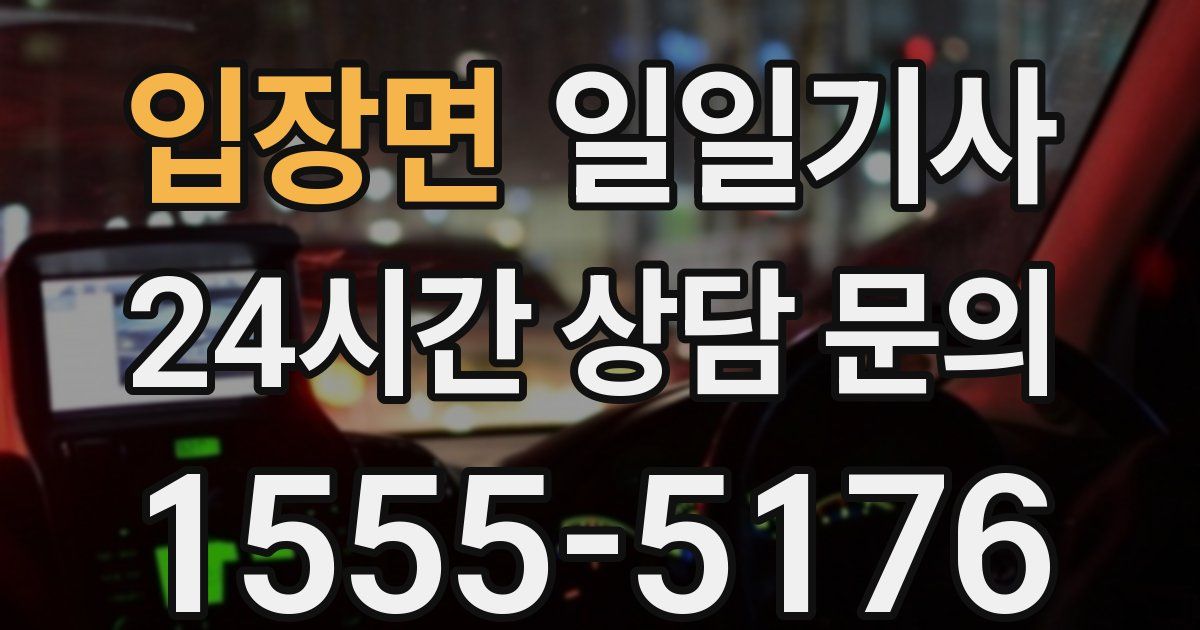 일일대리기사