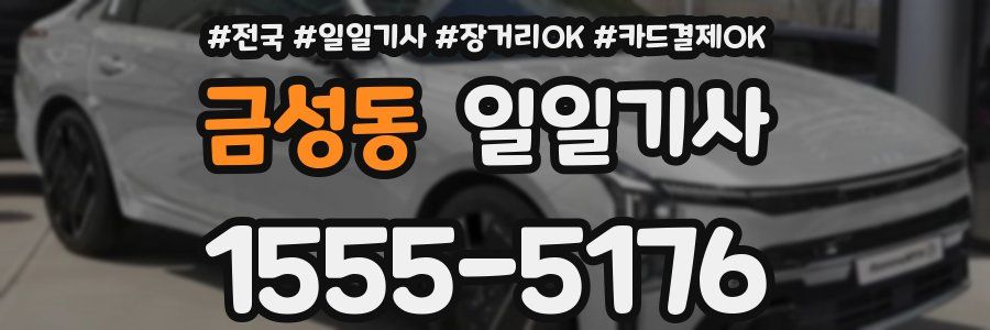 금성동 일일기사