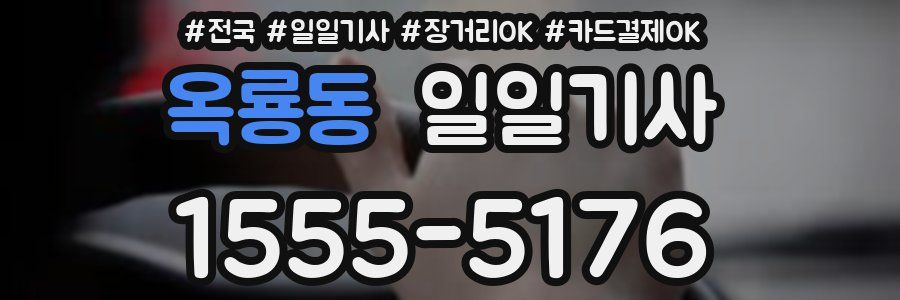 옥룡동 일일기사