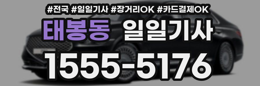 태봉동 일일기사