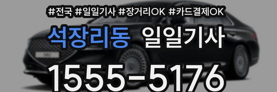 석장리동 일일기사
