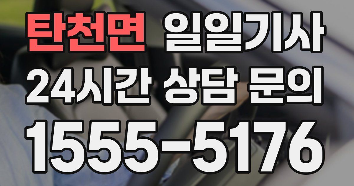 일일대리기사