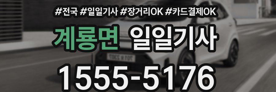 계룡면 일일기사