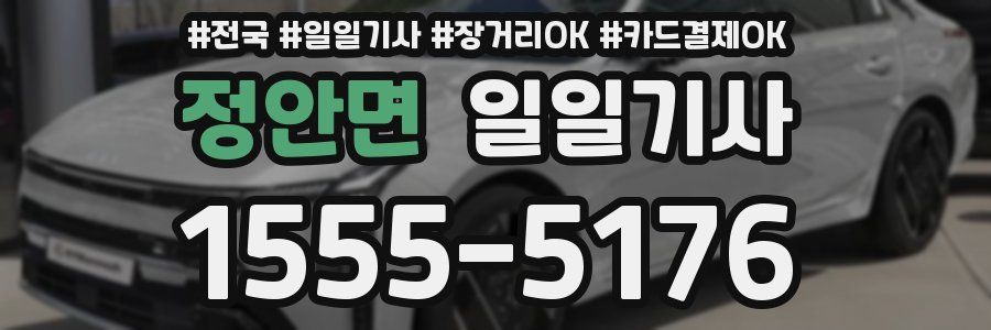 정안면 일일기사