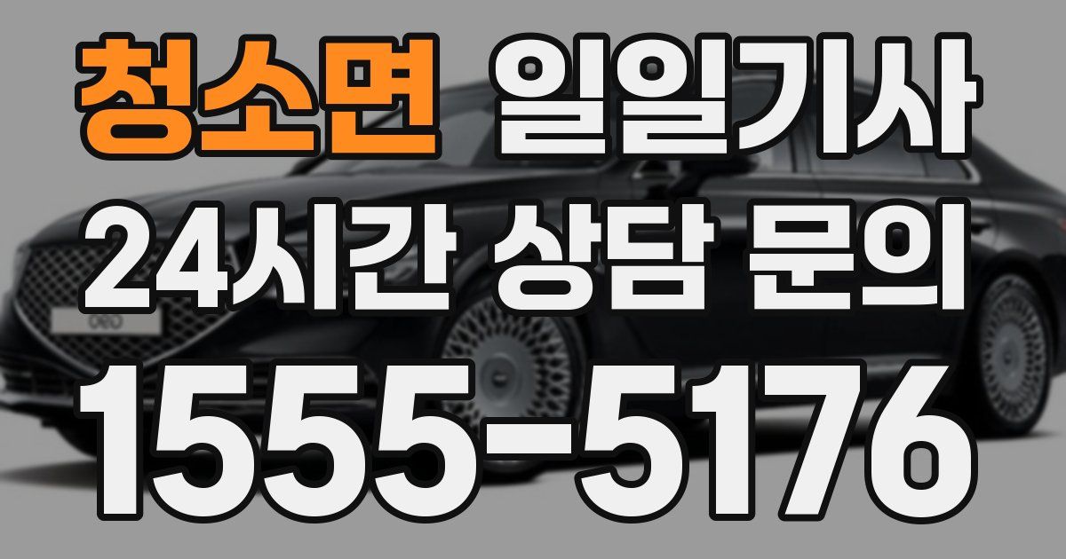 일일대리기사