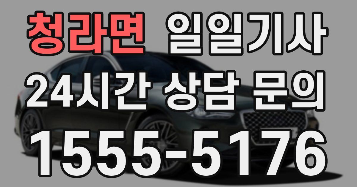 일일대리기사