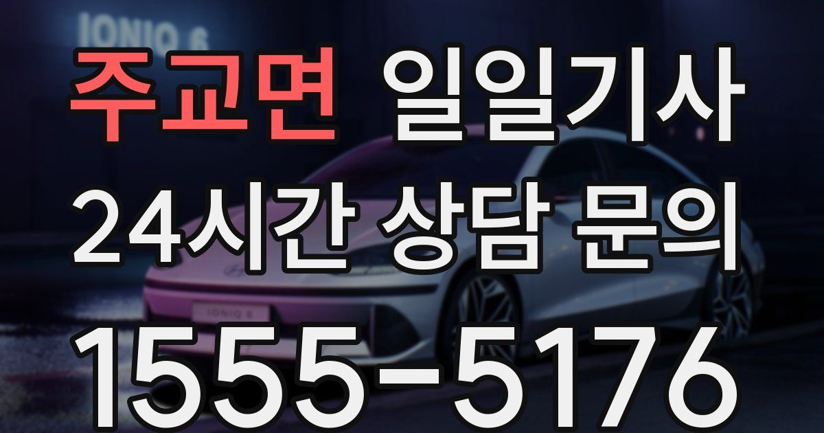 일일대리기사