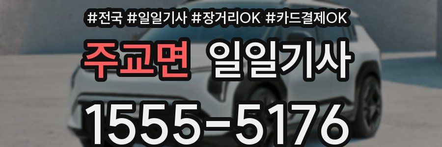 주교면 일일기사