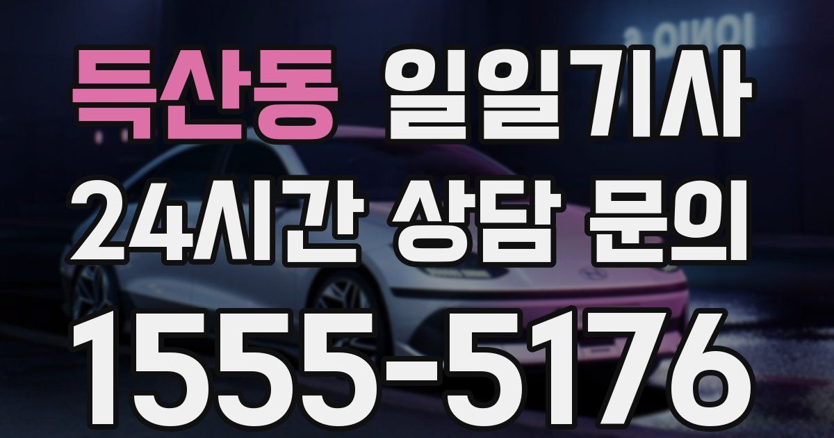 일일대리기사