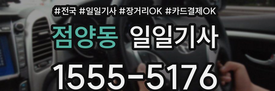 점양동 일일기사