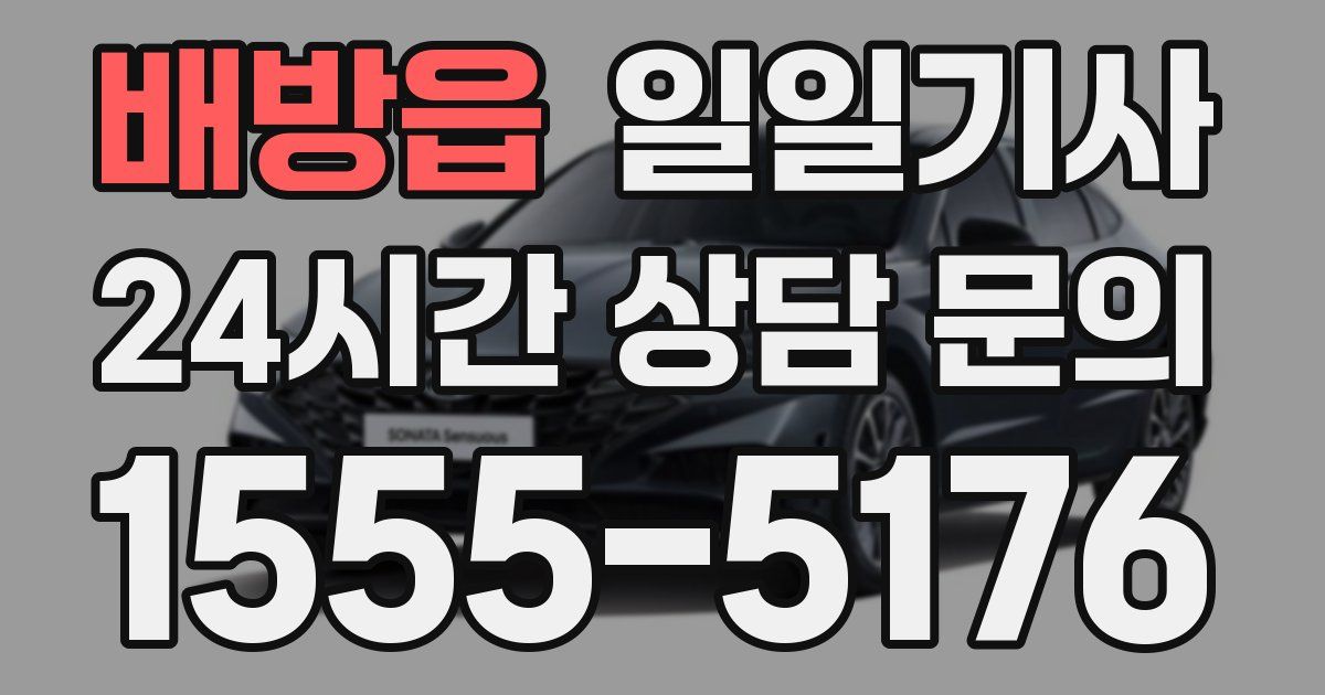 일일대리기사