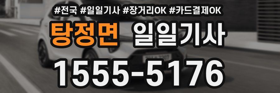 탕정면 일일기사