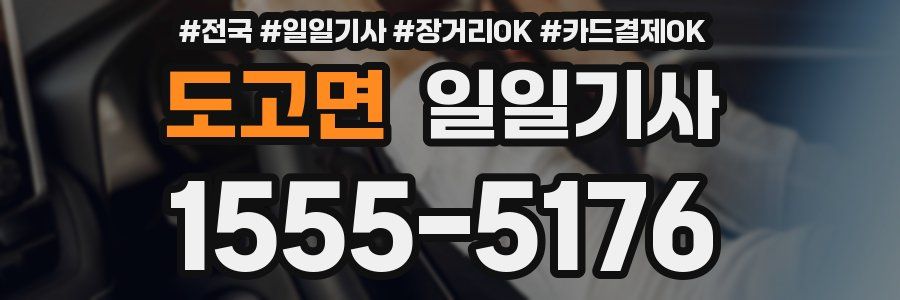 도고면 일일기사