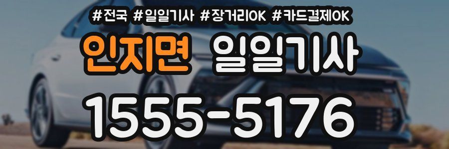 인지면 일일기사