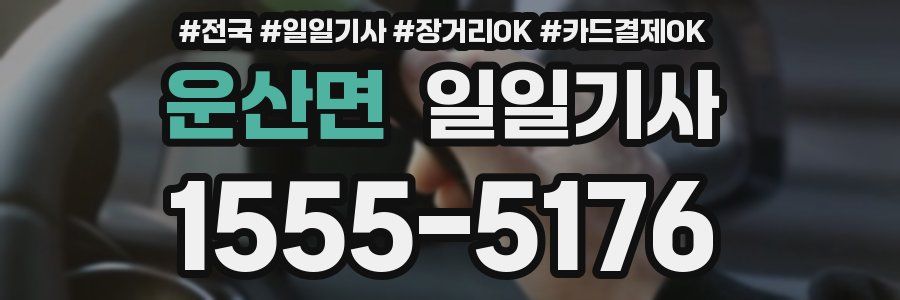 운산면 일일기사