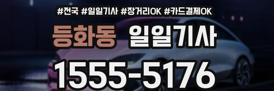 등화동 일일기사