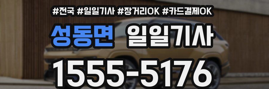 성동면 일일기사