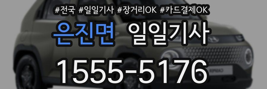 은진면 일일기사