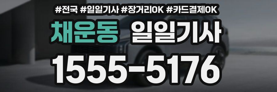 채운동 일일기사