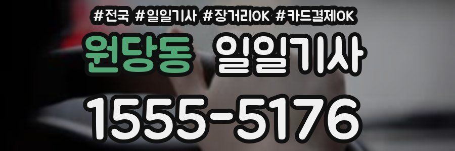 원당동 일일기사