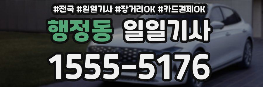 행정동 일일기사