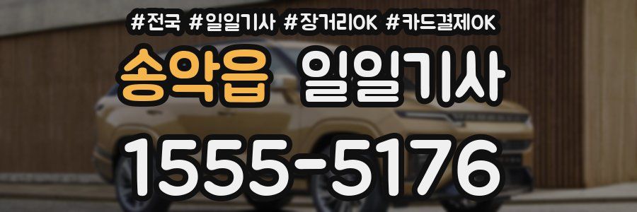 송악읍 일일기사