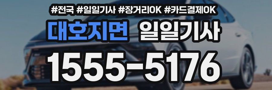 대호지면 일일기사