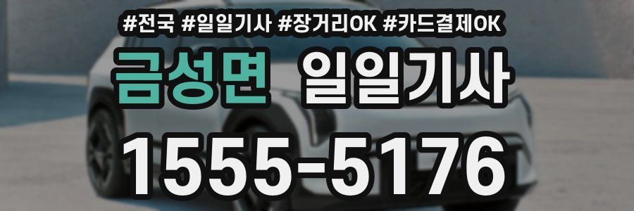 금성면 일일기사