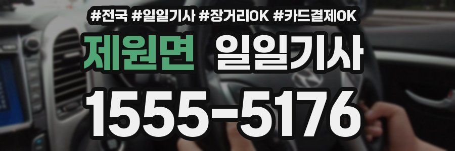 제원면 일일기사