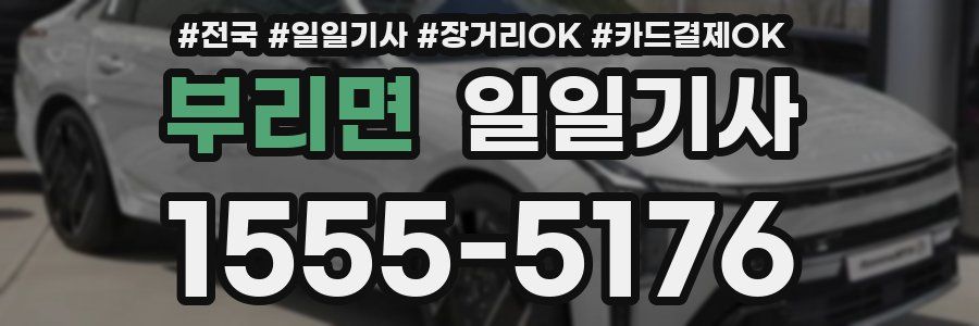 부리면 일일기사