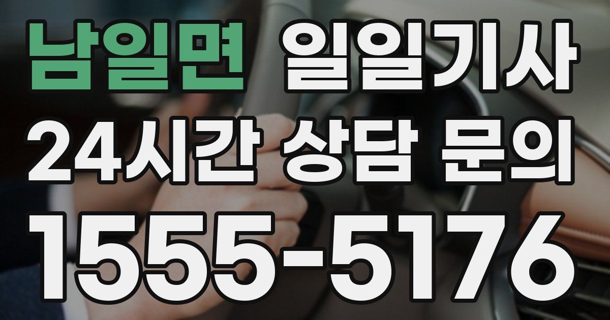 일일대리기사