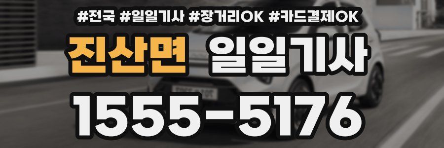 진산면 일일기사