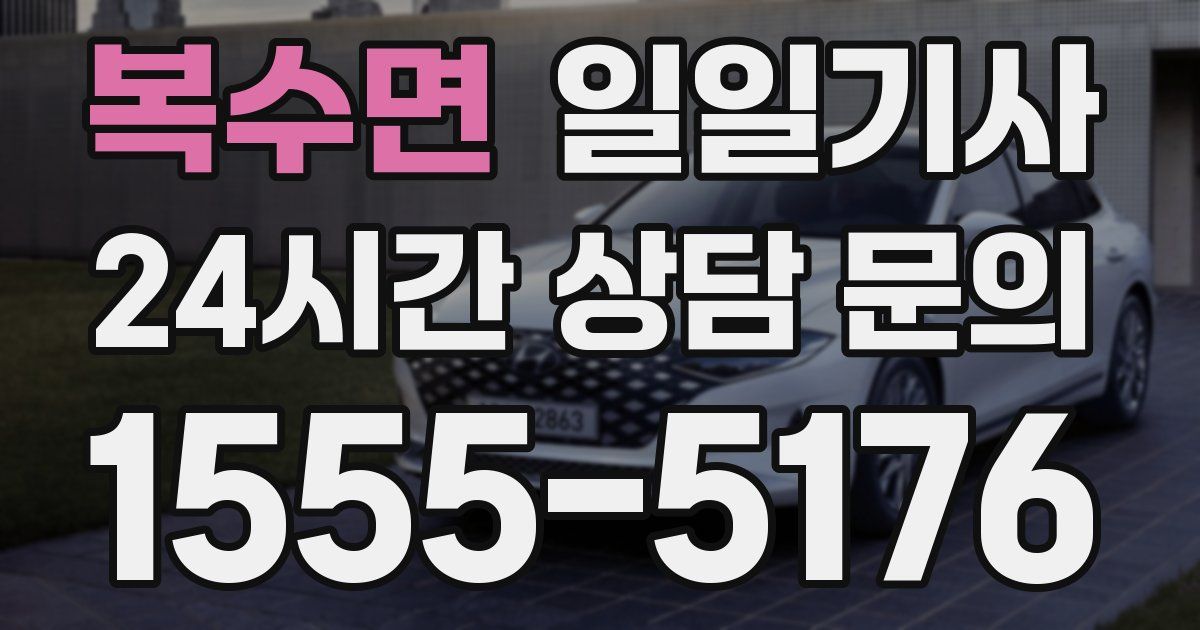 일일대리기사