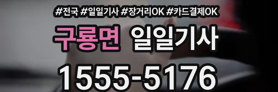 구룡면 일일기사