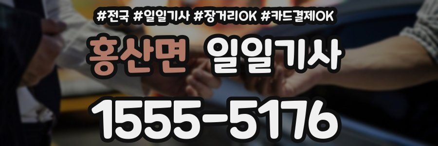 홍산면 일일기사