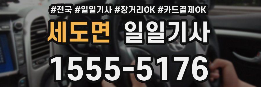 세도면 일일기사