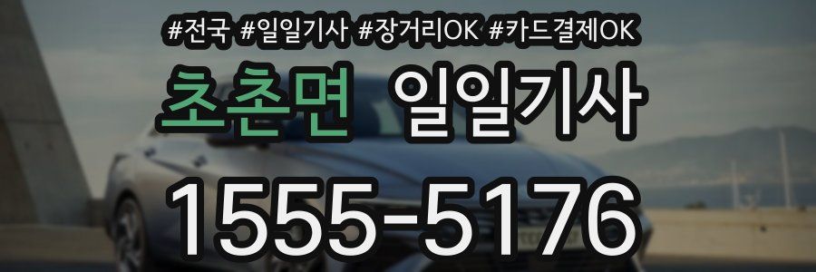 초촌면 일일기사