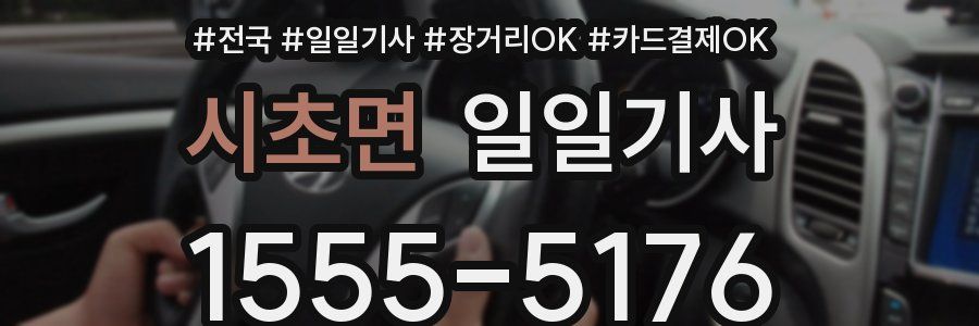 시초면 일일기사