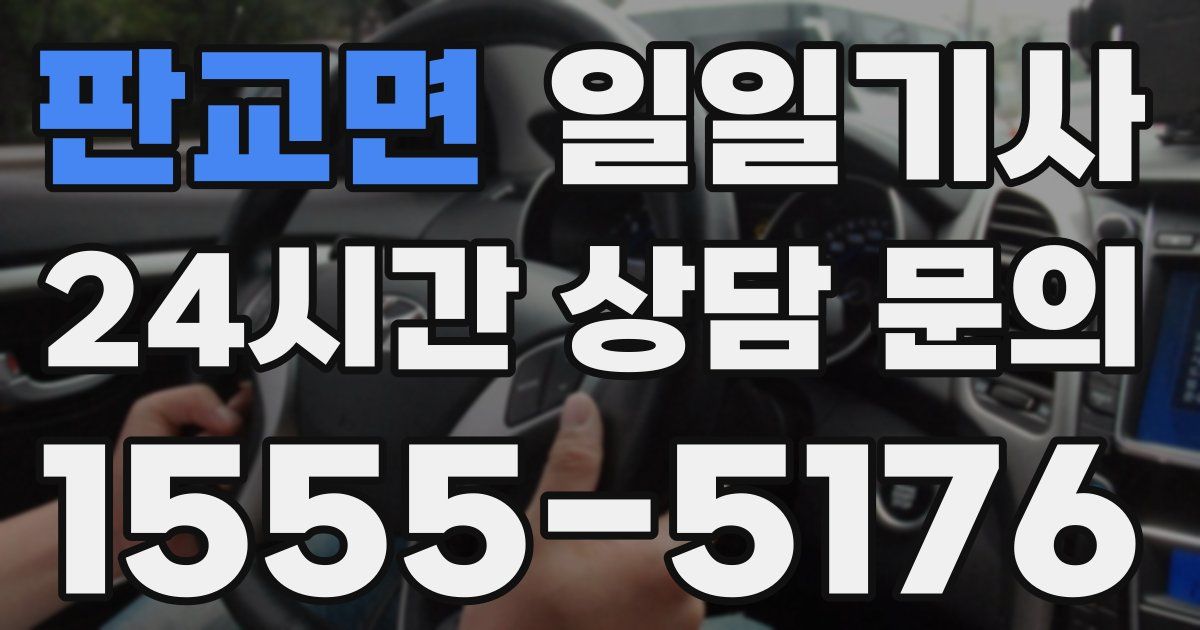 일일대리기사