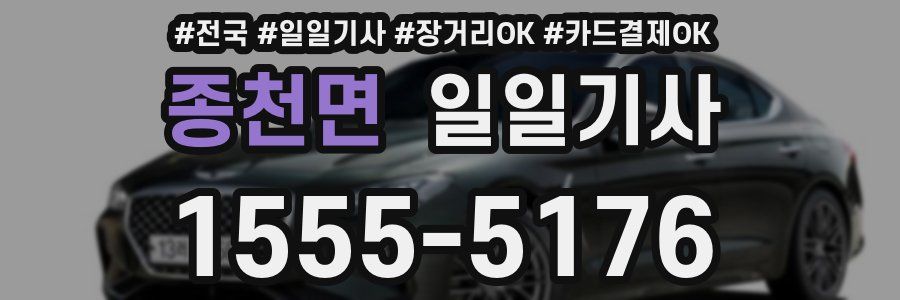 종천면 일일기사