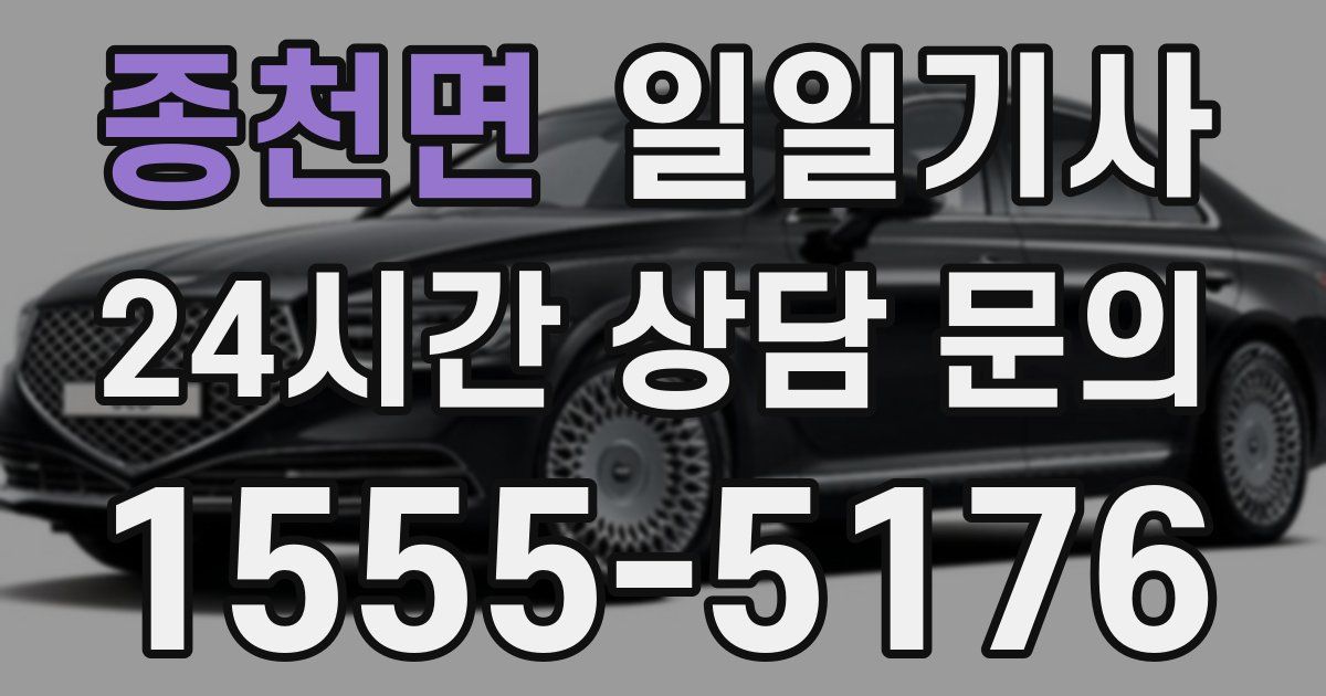 일일대리기사