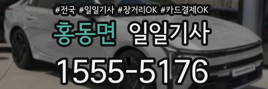 홍동면 일일기사