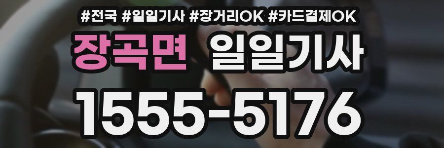 장곡면 일일기사