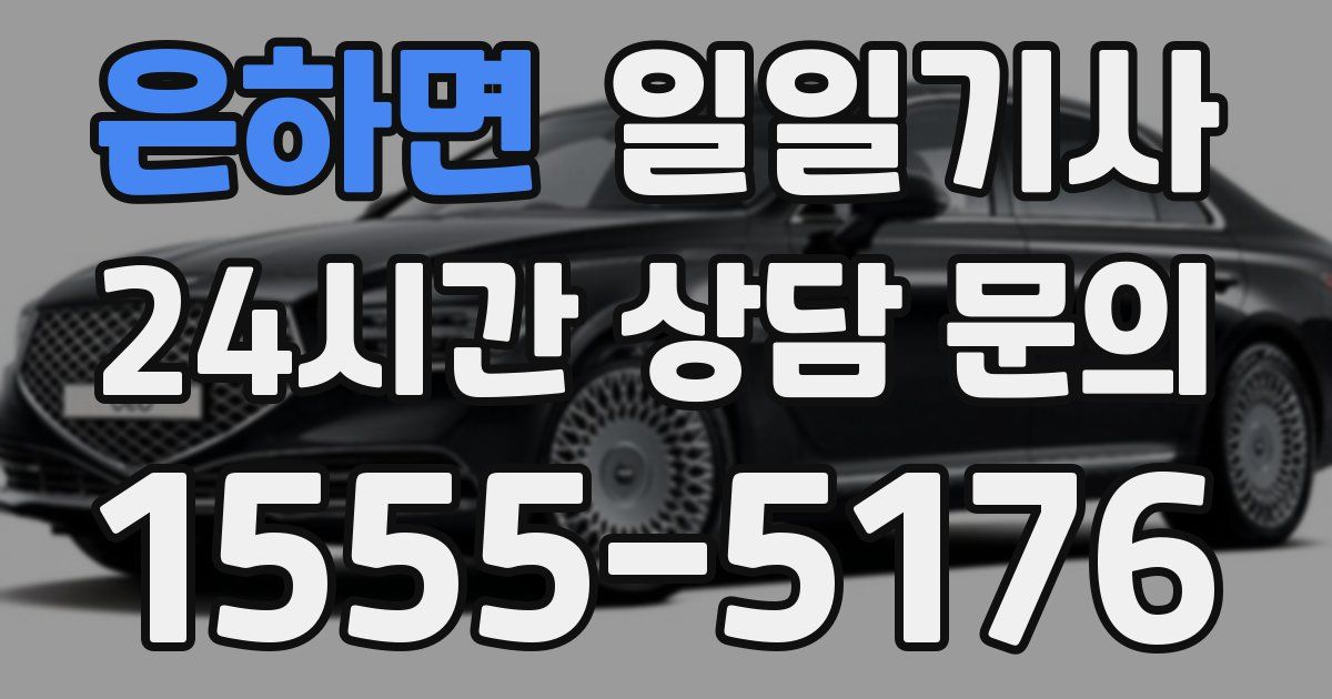 일일대리기사