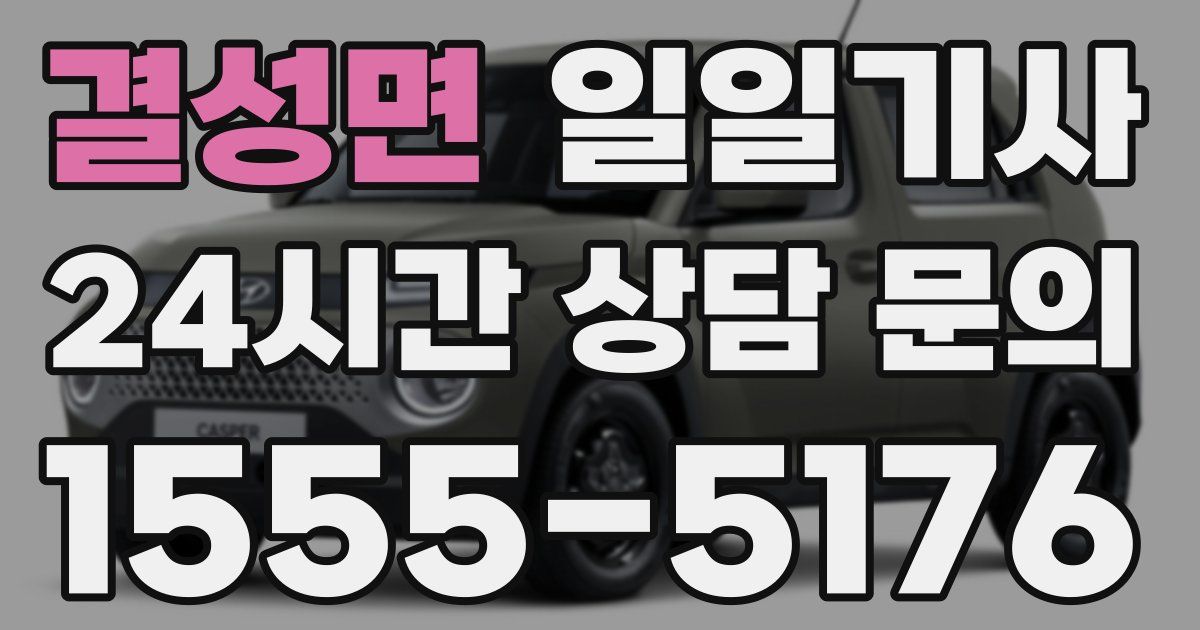 일일대리기사
