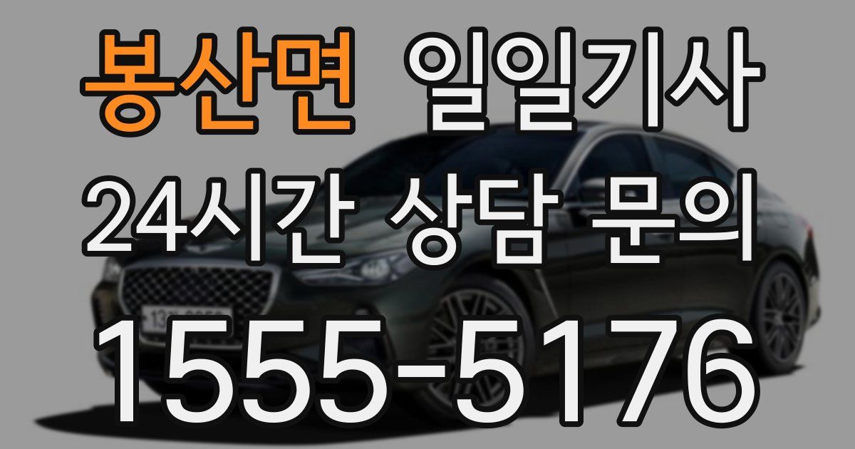 일일대리기사