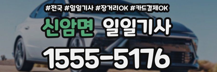 신암면 일일기사