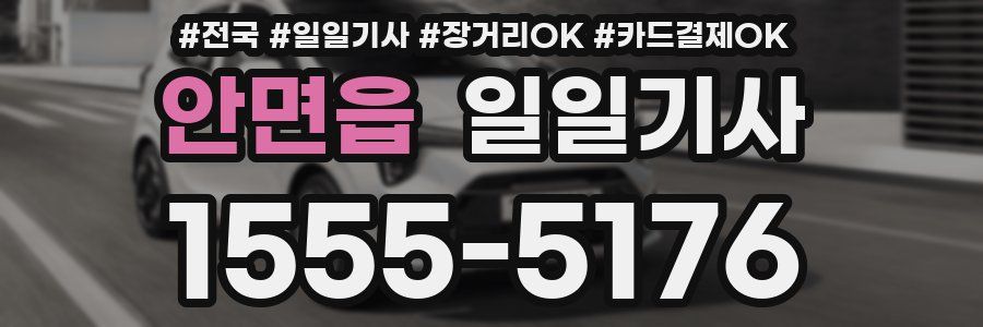 안면읍 일일기사